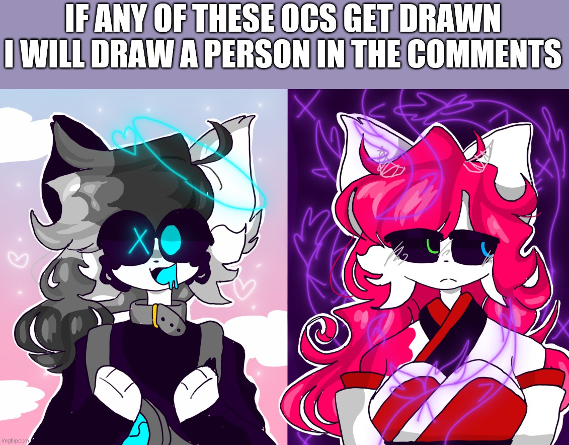 Wolfie on the left, Amber on the right | IF ANY OF THESE OCS GET DRAWN I WILL DRAW A PERSON IN THE COMMENTS | image tagged in furry | made w/ Imgflip meme maker