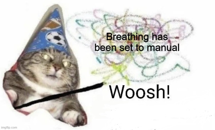 breath in breath out breath in breath out breath in breath out | Breathing has been set to manual | image tagged in woosh you got x | made w/ Imgflip meme maker