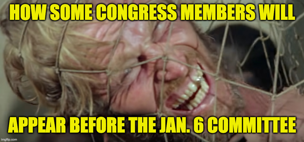 Get your stinking paws off me you damn dirty Dems! | HOW SOME CONGRESS MEMBERS WILL; APPEAR BEFORE THE JAN. 6 COMMITTEE | image tagged in get your stinking paws off me,memes,jan 6 committee | made w/ Imgflip meme maker