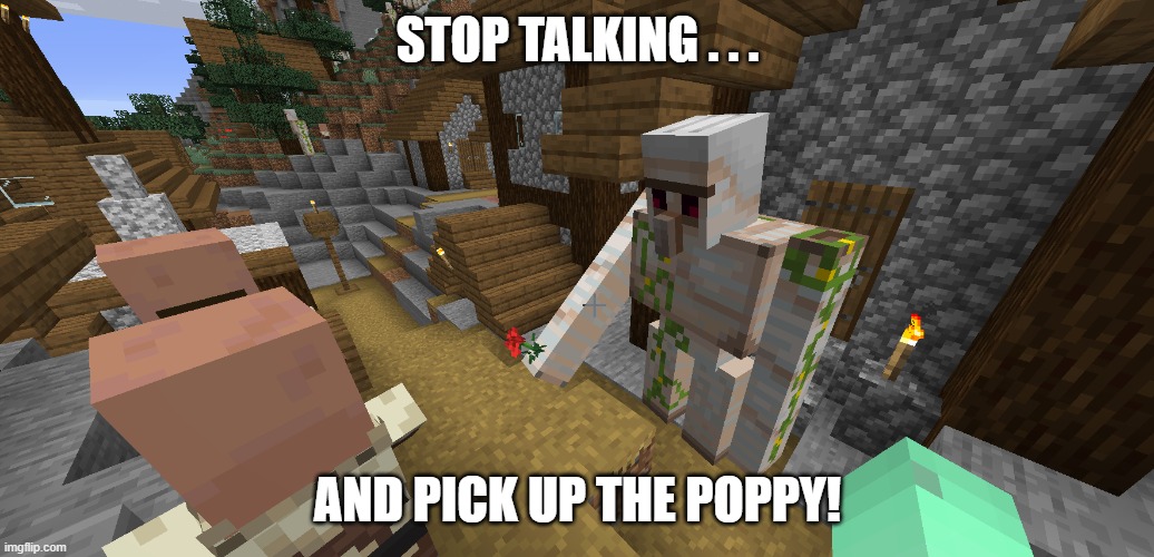 Just Pick Up The Poppy! | STOP TALKING . . . AND PICK UP THE POPPY! | image tagged in minecraft,iron golem,villager,village,poppy,irongolem | made w/ Imgflip meme maker
