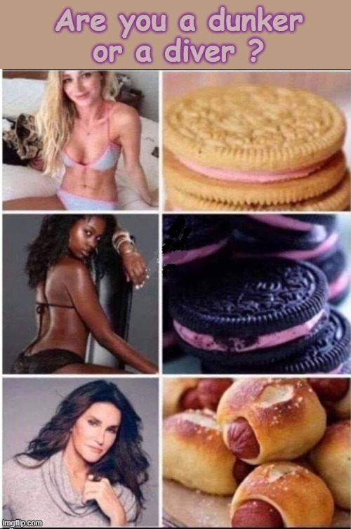 Dunker or Diver ? | image tagged in barney will eat all of your delectable biscuits | made w/ Imgflip meme maker