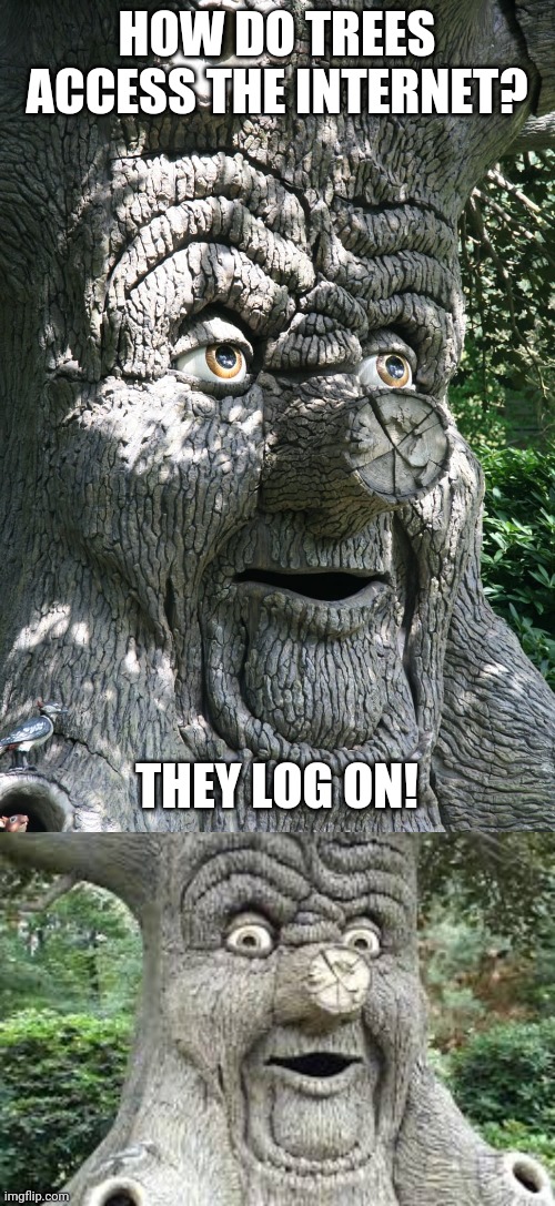 TIME TO GET THE CHAINSAW | HOW DO TREES ACCESS THE INTERNET? THEY LOG ON! | image tagged in trees,eyeroll,dad joke | made w/ Imgflip meme maker