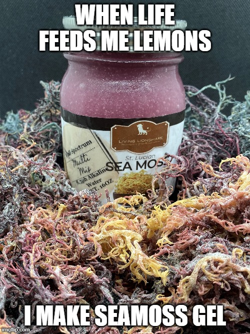 Lemons to Sea Moss | WHEN LIFE FEEDS ME LEMONS; I MAKE SEAMOSS GEL | image tagged in memes | made w/ Imgflip meme maker