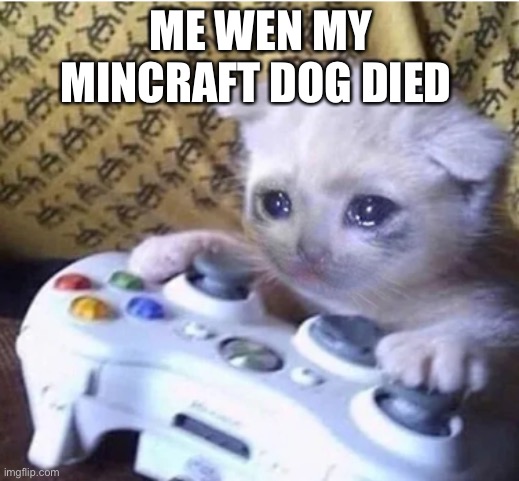 Sad | ME WEN MY MINCRAFT DOG DIED | image tagged in sad gaming cat | made w/ Imgflip meme maker