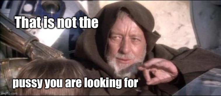 These Aren't The Droids You Were Looking For Meme | That is not the pussy you are looking for | image tagged in memes,these aren't the droids you were looking for | made w/ Imgflip meme maker