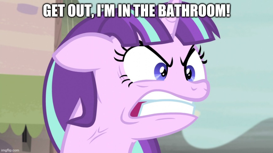 QUIET!! (MLP) | GET OUT, I'M IN THE BATHROOM! | image tagged in quiet mlp | made w/ Imgflip meme maker