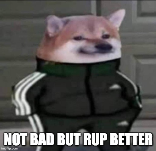 Slav doge | NOT BAD BUT RUP BETTER | image tagged in slav doge | made w/ Imgflip meme maker