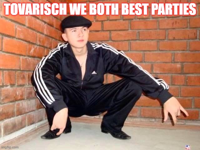 Slav Squat | TOVARISCH WE BOTH BEST PARTIES | image tagged in slav squat | made w/ Imgflip meme maker