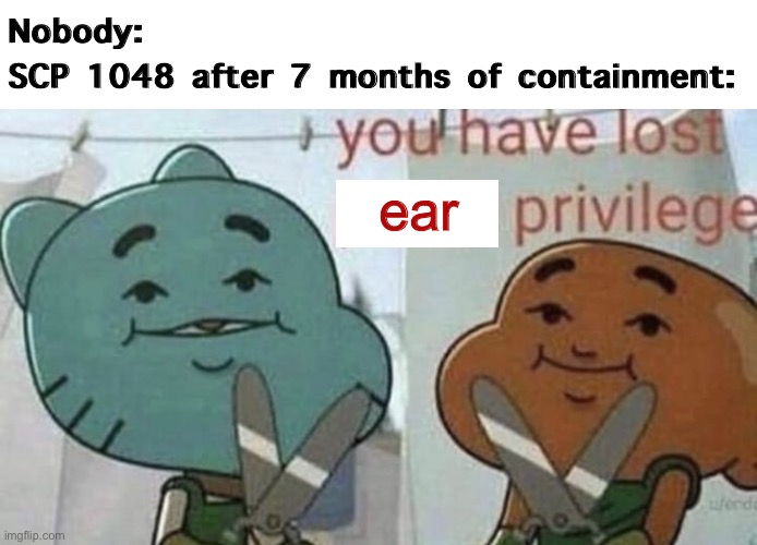 SCP 1048 after 7 months of containment | Nobody:
SCP 1048 after 7 months of containment:; ear | image tagged in you have lost p nis privilege,scp,funny memes,scp 1048 | made w/ Imgflip meme maker