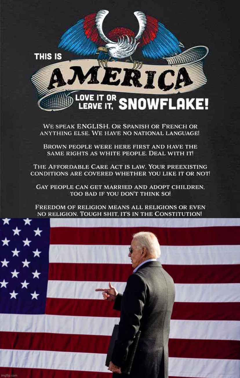 America: Love It or Leave It, Snowflake! | image tagged in america love it or leave it snowflake,joe biden sunglasses flag | made w/ Imgflip meme maker