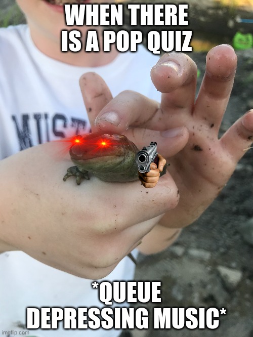 mEmE oF IdAhO | WHEN THERE IS A POP QUIZ; *QUEUE DEPRESSING MUSIC* | image tagged in idaho,virgin,frog | made w/ Imgflip meme maker