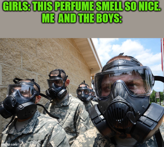 gas musk | GIRLS: THIS PERFUME SMELL SO NICE.
ME  AND THE BOYS: | image tagged in lol | made w/ Imgflip meme maker