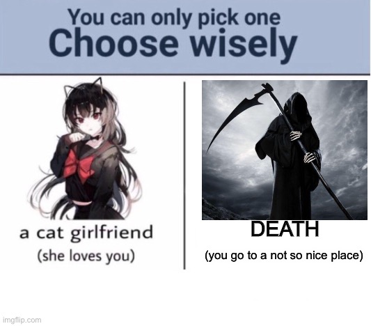 which do you choose | DEATH; (you go to a not so nice place) | image tagged in choose wisely,trend | made w/ Imgflip meme maker