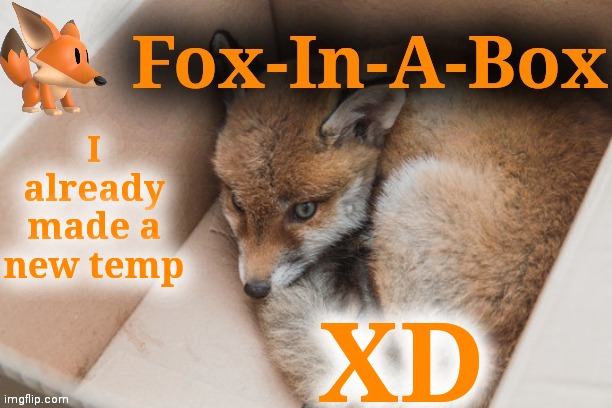 I already made a new temp; XD | image tagged in fox-in-a-box temp | made w/ Imgflip meme maker