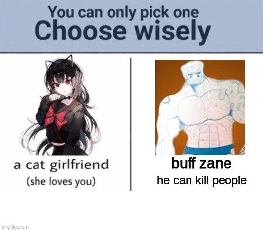 Choose wisely | buff zane; he can kill people | image tagged in choose wisely | made w/ Imgflip meme maker