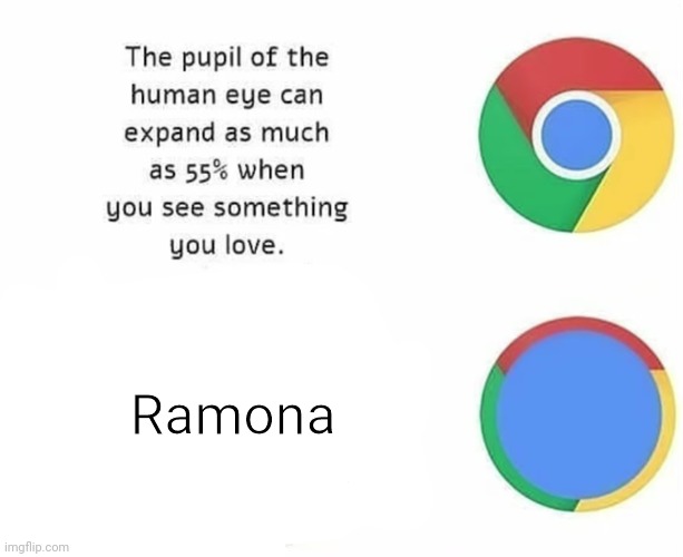 The Pupil Of The Human Eye Can Expand As Much As 55% When You | Ramona | image tagged in the pupil of the human eye can expand as much as 55 when you | made w/ Imgflip meme maker