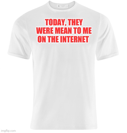White t-shirt |  TODAY, THEY WERE MEAN TO ME ON THE INTERNET | image tagged in white t-shirt | made w/ Imgflip meme maker