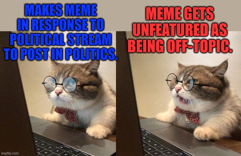 Really imgflip!?!? |  MAKES MEME IN RESPONSE TO POLITICAL STREAM TO POST IN POLITICS. MEME GETS UNFEATURED AS BEING OFF-TOPIC. | image tagged in angry glass cat,unfeatured,memers,making memes,politics,memes | made w/ Imgflip meme maker