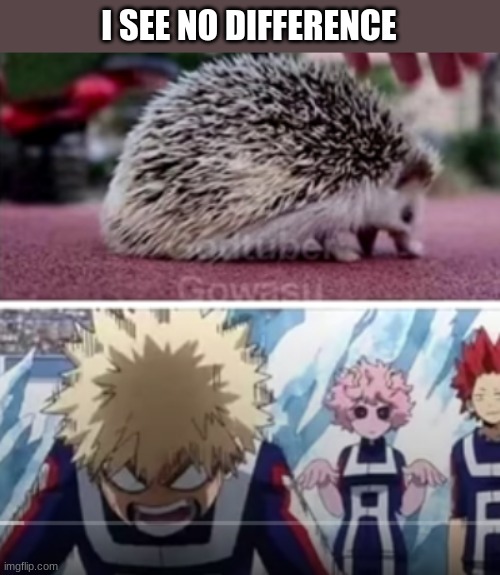 can you spot the difference? | I SEE NO DIFFERENCE | image tagged in mha,bnha | made w/ Imgflip meme maker