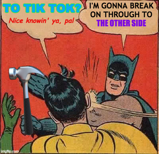 The Doors Fan Batman | TO TIK TOK? I'M GONNA BREAK   ON THROUGH TO; Nice knowin' ya, pal; THE OTHER SIDE; 🔨 | image tagged in memes,batman slapping robin,the doors,hammer,the other side,tik tok | made w/ Imgflip meme maker