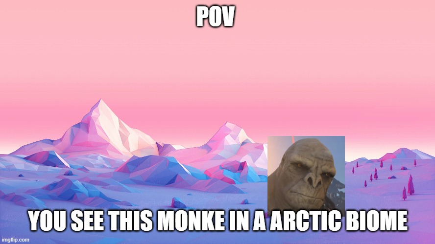 POV; YOU SEE THIS MONKE IN A ARCTIC BIOME | made w/ Imgflip meme maker