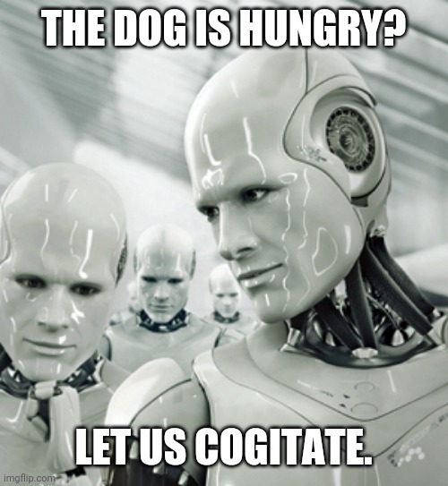 Robots Meme | THE DOG IS HUNGRY? LET US COGITATE. | image tagged in memes,robots | made w/ Imgflip meme maker