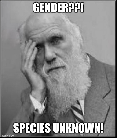darwin facepalm | GENDER??! SPECIES UNKNOWN! | image tagged in darwin facepalm | made w/ Imgflip meme maker