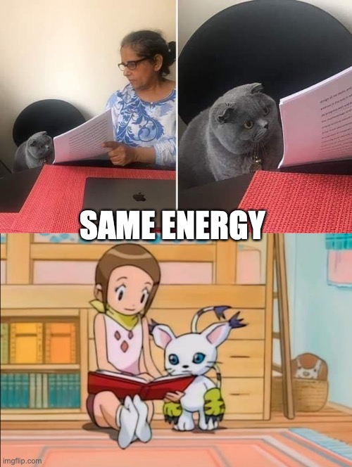 SAME ENERGY | image tagged in woman showing paper to cat,digimon | made w/ Imgflip meme maker