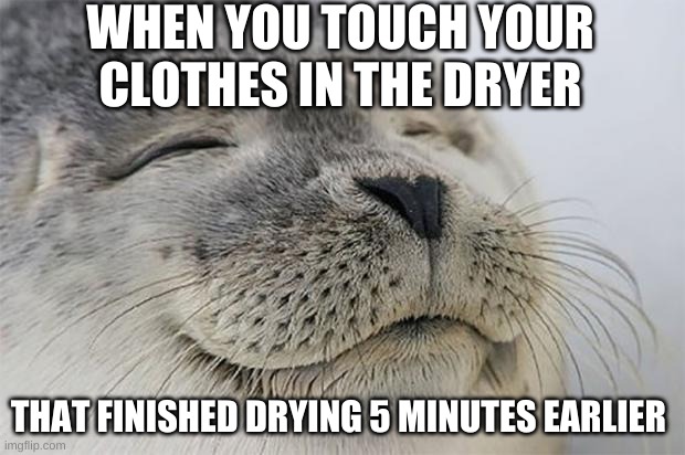 noice | WHEN YOU TOUCH YOUR CLOTHES IN THE DRYER; THAT FINISHED DRYING 5 MINUTES EARLIER | image tagged in memes,satisfied seal | made w/ Imgflip meme maker