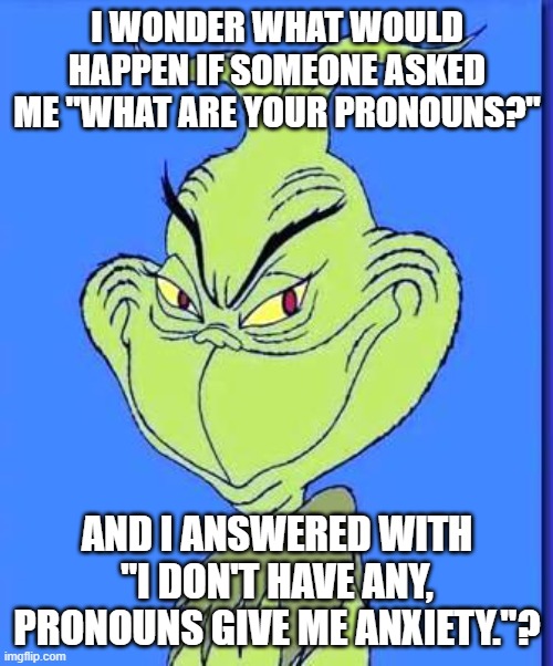 Or something to that effect. It hasn't happened yet, but I wonder... | I WONDER WHAT WOULD HAPPEN IF SOMEONE ASKED ME "WHAT ARE YOUR PRONOUNS?"; AND I ANSWERED WITH "I DON'T HAVE ANY, PRONOUNS GIVE ME ANXIETY."? | image tagged in good grinch | made w/ Imgflip meme maker