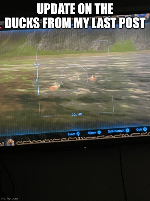 UPDATE ON THE DUCKS FROM MY LAST POST | made w/ Imgflip meme maker