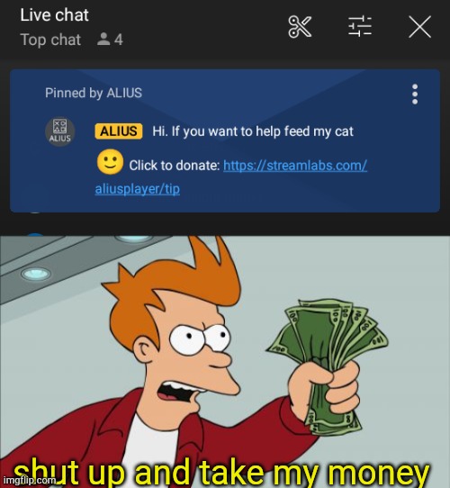 feed your cat with all that money | shut up and take my money | image tagged in memes,shut up and take my money fry,cats,youtube | made w/ Imgflip meme maker