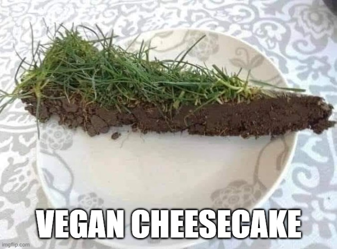 Vegan Cheesecake |  VEGAN CHEESECAKE | image tagged in vegan,cheesecake,grass,mud,funny | made w/ Imgflip meme maker