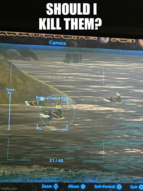 SHOULD I KILL THEM? | made w/ Imgflip meme maker