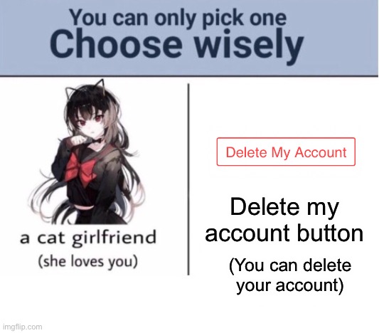 Choose wisely | Delete my account button; (You can delete your account) | image tagged in choose wisely | made w/ Imgflip meme maker
