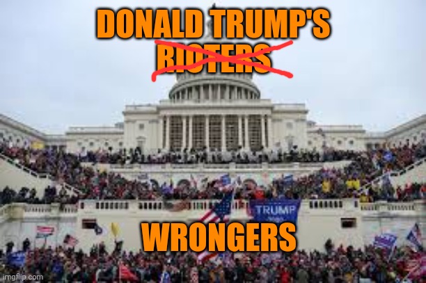 Capitol on January 6 | RIOTERS; DONALD TRUMP'S; WRONGERS | image tagged in capitol on january 6 | made w/ Imgflip meme maker