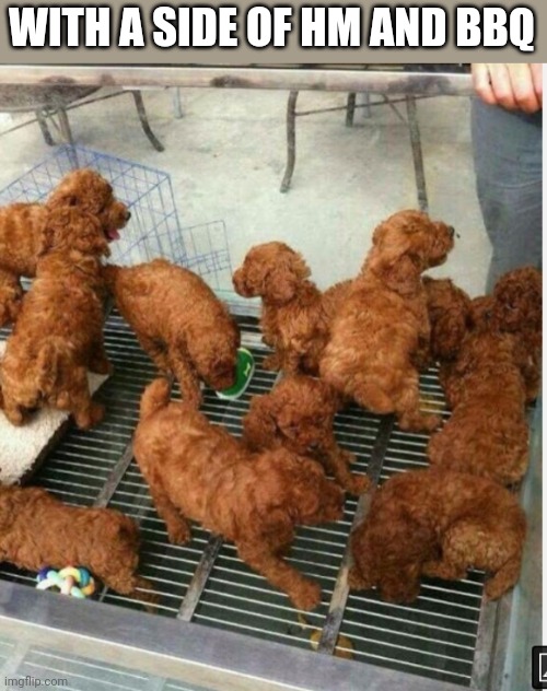 WITH A SIDE OF HM AND BBQ | image tagged in funny memes | made w/ Imgflip meme maker