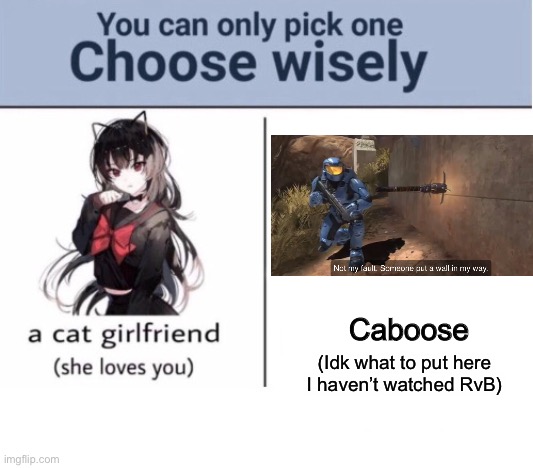 Choose wisely | Caboose; (Idk what to put here I haven’t watched RvB) | image tagged in choose wisely | made w/ Imgflip meme maker