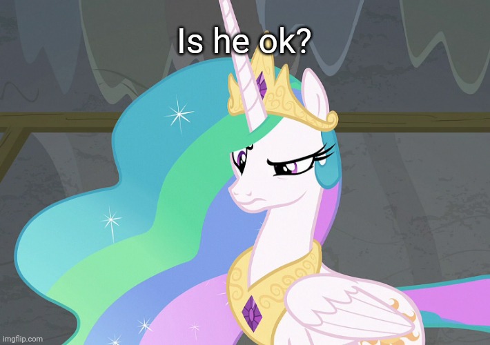 Confused Celestia (MLP) | Is he ok? | image tagged in confused celestia mlp | made w/ Imgflip meme maker