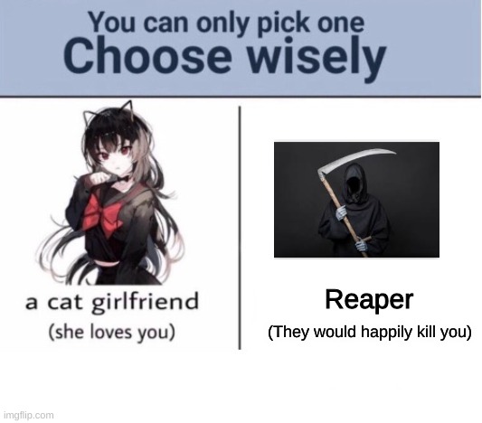 Choose wisely | Reaper; (They would happily kill you) | image tagged in choose wisely | made w/ Imgflip meme maker