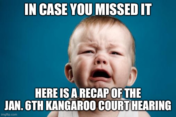 crybaby | IN CASE YOU MISSED IT; HERE IS A RECAP OF THE JAN. 6TH KANGAROO COURT HEARING | image tagged in crybaby | made w/ Imgflip meme maker