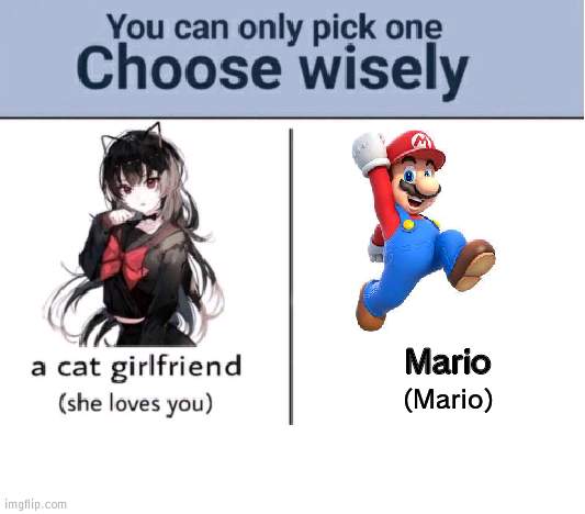 Choose wisely | Mario; (Mario) | image tagged in choose wisely | made w/ Imgflip meme maker