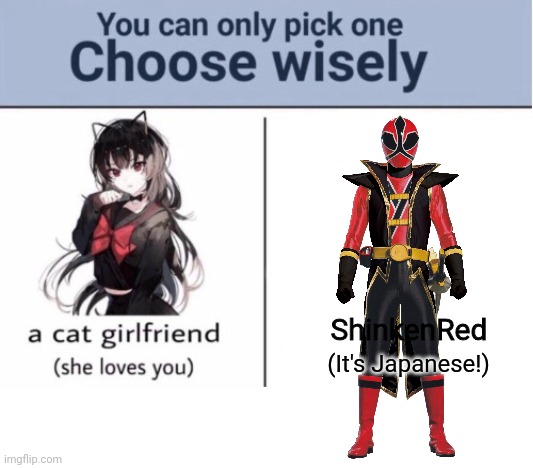 Choose wisely | ShinkenRed; (It's Japanese!) | image tagged in choose wisely,super sentai,power rangers | made w/ Imgflip meme maker