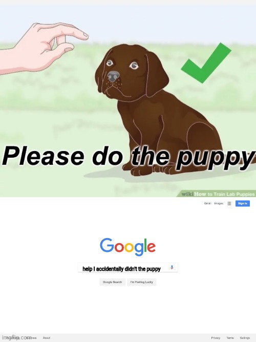 I didn't the puppy... | help I accidentally didn't the puppy | image tagged in please do the puppy,google search meme | made w/ Imgflip meme maker