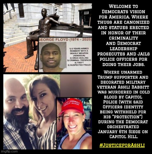 BLM & ANTIFA burning down communities & killing police in our streets is fine, but support Trump & you're a domestic terrorist | image tagged in ashli babbett,politics,political,justiceforashli | made w/ Imgflip meme maker