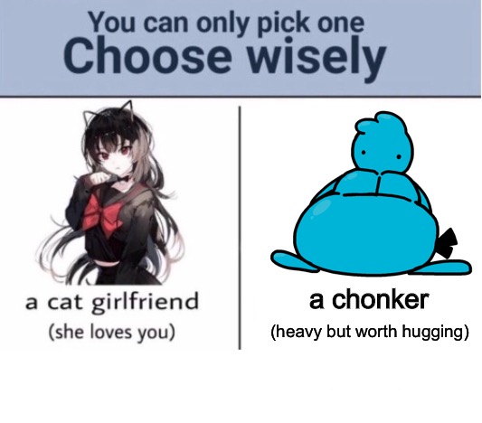a chonker; (heavy but worth hugging) | made w/ Imgflip meme maker