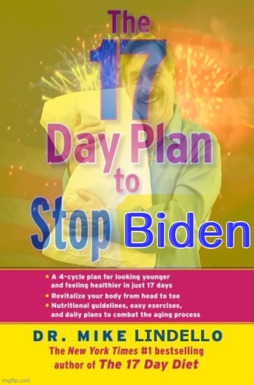 The Bestselling 17-Day Plan. By Mike Lindello. | Biden; LINDELL | image tagged in 17 days,mike lindell,books,trump inauguration,your best life | made w/ Imgflip meme maker