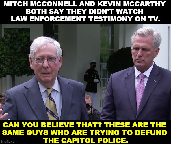 MITCH MCCONNELL AND KEVIN MCCARTHY 
BOTH SAY THEY DIDN'T WATCH 
LAW ENFORCEMENT TESTIMONY ON TV. CAN YOU BELIEVE THAT? THESE ARE THE 
SAME GUYS WHO ARE TRYING TO DEFUND 
THE CAPITOL POLICE. | image tagged in republicans,encouragement,riots,ignore,police | made w/ Imgflip meme maker