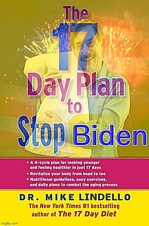 By Mike Lindello. | image tagged in the 17 day plan to stop biden,17 days,mike lindell | made w/ Imgflip meme maker