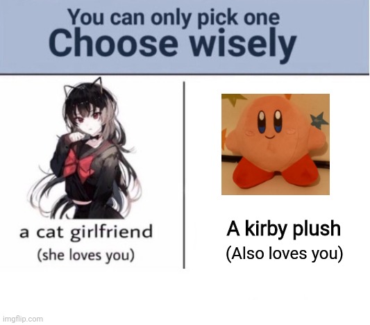 :) | A kirby plush; (Also loves you) | image tagged in choose wisely | made w/ Imgflip meme maker